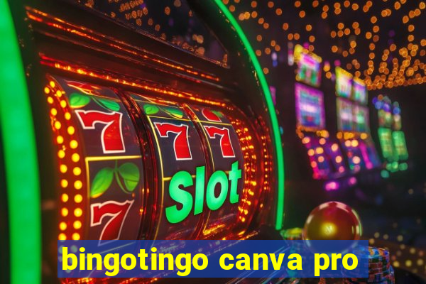 bingotingo canva pro